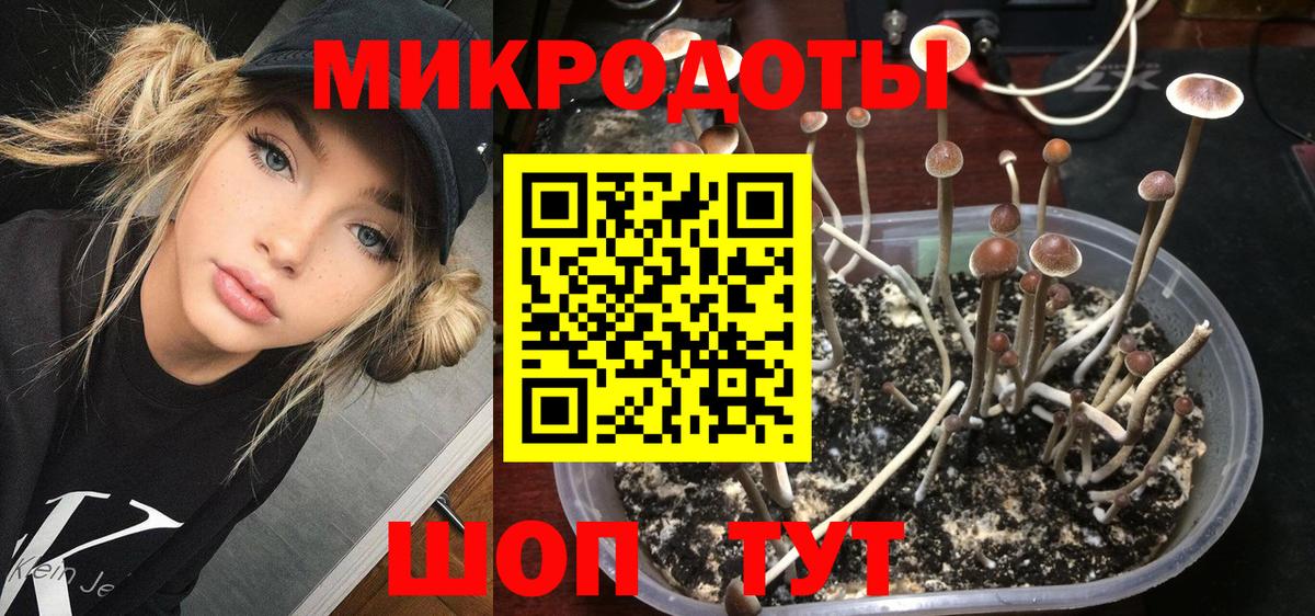 Галлюциногенные грибы прущие грибы Новомосковск