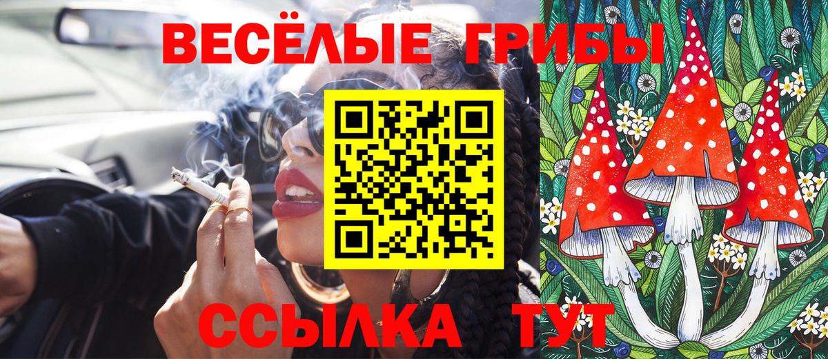 Новомосковск  Псилоцибиновые грибы мухоморы  Вход с VPN 