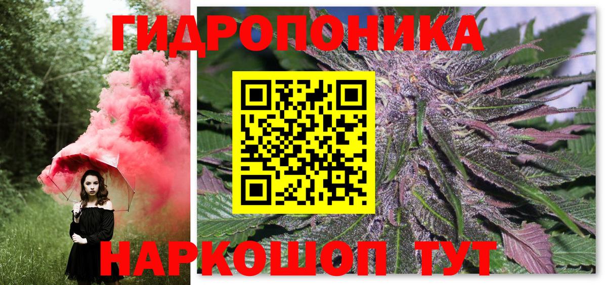 Каннабис ГИДРОПОН  Бошки Шишки Bruce Banner  Новомосковск  Вход с VPN  Бошки марихуана индика 